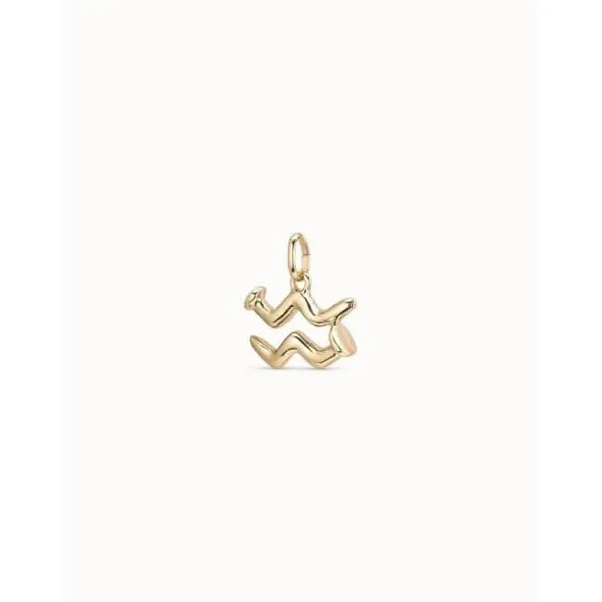 Aquarius Golden Metal Charm