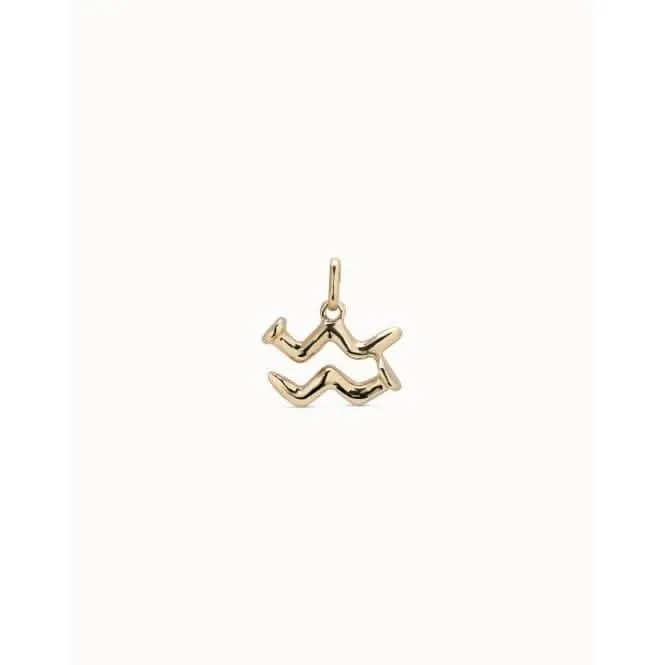 Aquarius Golden Metal Charm
