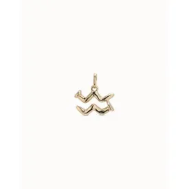 Aquarius Golden Metal Charm