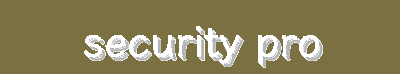 Enterprise-Grade Network Infrastructure | Advanced Security Protocols | SecureConnect